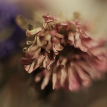 With extension tube